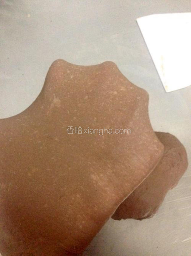 除内馅材料和巧克力豆外，所有材料混合均匀，揉至扩展阶段。