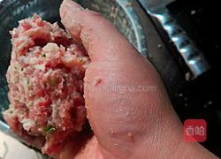 新年聚白菜(百财)的做法图解2