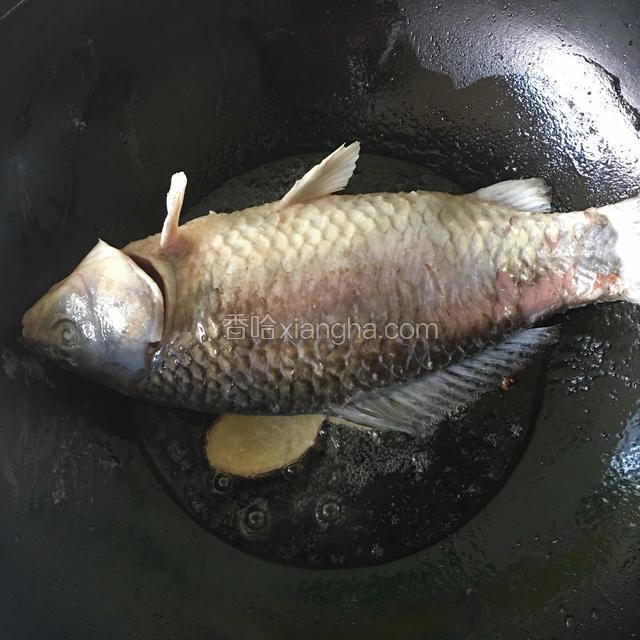 油锅七成热时把鲫鱼慢慢放入热油锅中，加入适量料酒，煎至两面金黄最好。