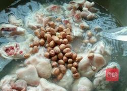 花生猪蹄的做法图解4