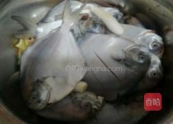 家常烧鲳鱼的做法图解1