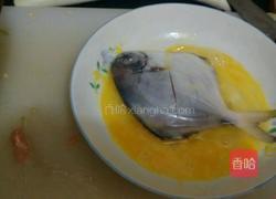 家常烧鲳鱼的做法图解2
