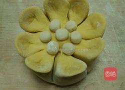 花开富贵的做法图解14