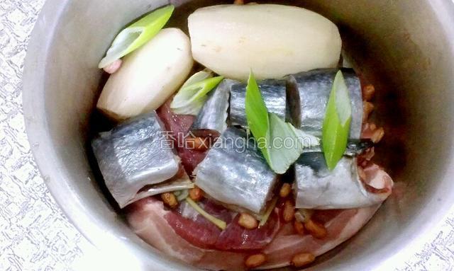 再把鲅鱼块铺上，再放葱姜片 ，放几颗花椒粒