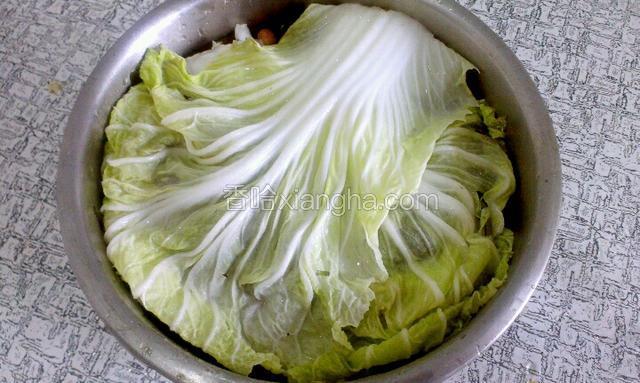 上面盖上两片白菜叶