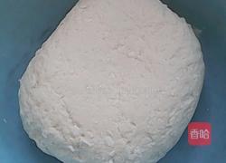 猪肉白菜馅饼的做法图解1