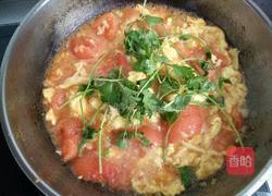 西红柿炒鸡蛋的做法图解16