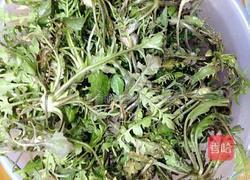 荠菜圆子的做法图解1