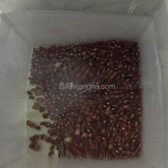 红豆用水泡6小时或一晩