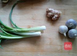 麻辣手撕鸡的做法图解6