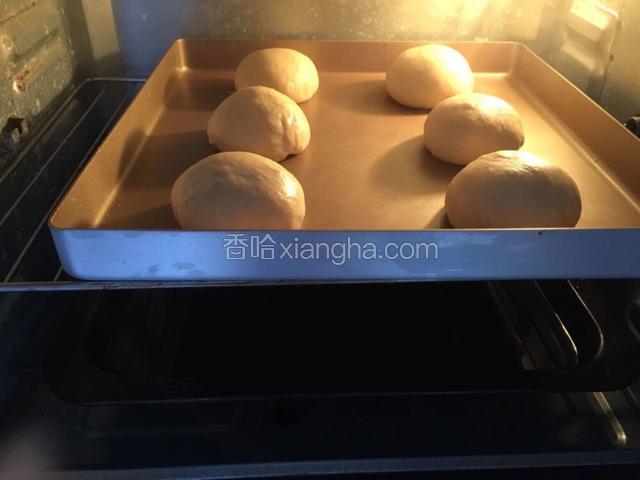 放入烤箱 烤箱底部放一烤盘热水 开启烤箱发酵功能 进行第二次发酵 大概40分钟左右
