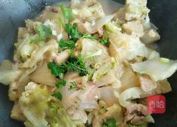 猪肉白菜炖豆腐的做法图解6