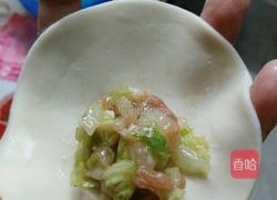 白菜馅饺子的做法图解2