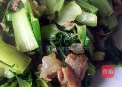 清炒小白菜的做法图解3