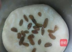 葡萄司康(发酵版)的做法图解11