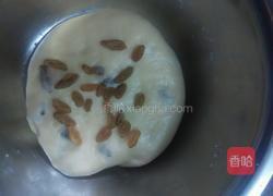 葡萄司康（发酵版）的做法图解15