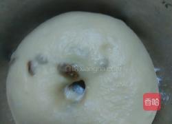 葡萄司康(发酵版)的做法图解17