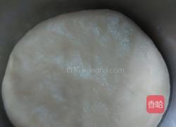 葡萄司康（发酵版）的做法图解10