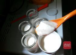 电饭锅酸奶的做法图解17