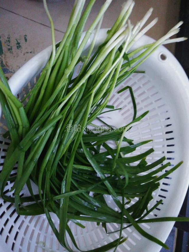 然后韭菜洗净