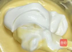 糖渍橙皮轻乳酪蛋糕的做法图解8