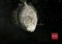 烧鱼的做法图解2