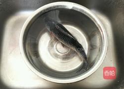 鲫鱼豆腐汤的做法图解1