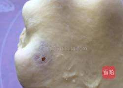 红豆沙南瓜面包的做法图解5