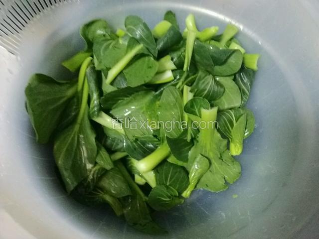小青菜清洗干净