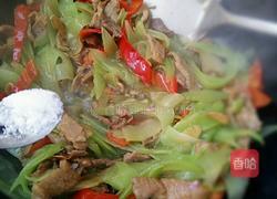 莴笋炒肉的做法图解9