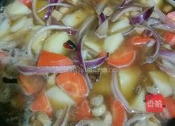 土豆胡萝卜烧鸡丁的做法图解6