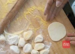 西葫芦萝卜鸡蛋馅饺子的做法图解5