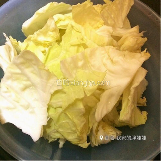 圆白菜撕成小片