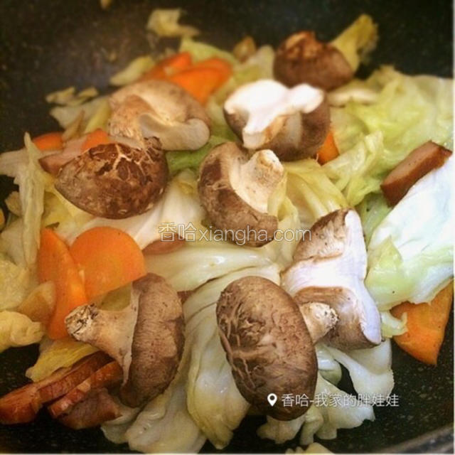 圆白菜和胡萝卜断生后，加入香菇