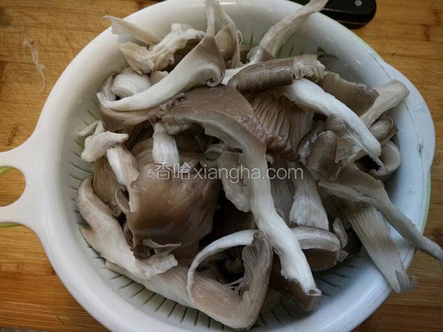 蘑菇洗干净，用手撕成长条