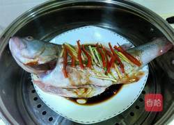 清蒸鲈鱼的做法图解4