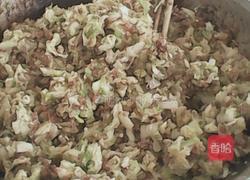 白菜猪肉大馅饺子的做法图解3