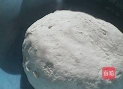 白菜猪肉大馅饺子的做法图解4