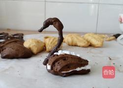 双色天鹅泡芙的做法图解13
