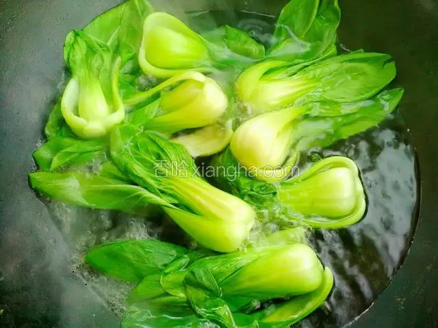 油菜洗干净，加入油和盐的开水锅里煮熟铺于盘底