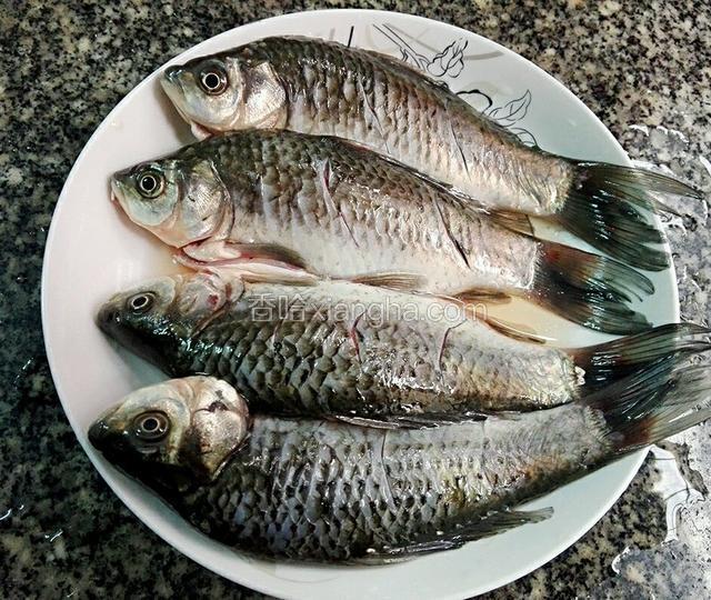 鲫鱼洗干净，在背上放些冷刀，然后加入料酒腌20分钟