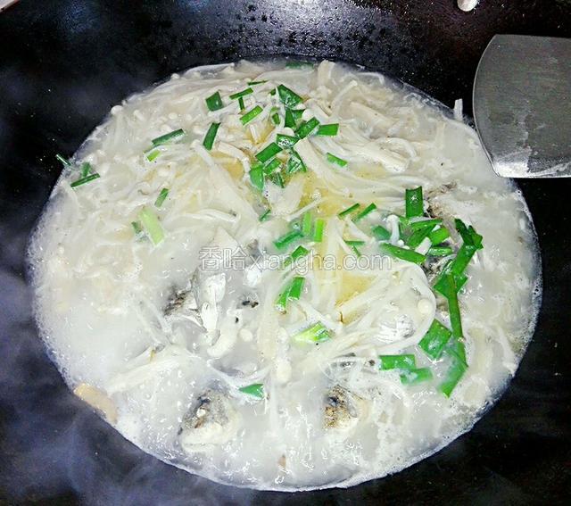 最后加入葱，盐煮熟即可