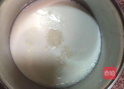 自制酸奶的做法图解3