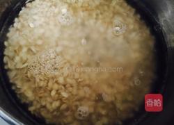 燕麦牛奶的做法图解2