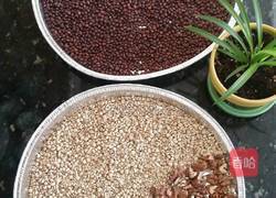 红豆薏米糊的做法图解3