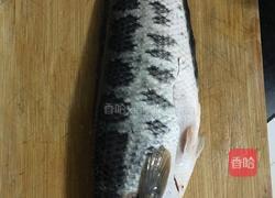 水煮鱼的做法图解1