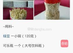 自制豆芽的做法图解1