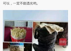 自制豆芽的做法图解3
