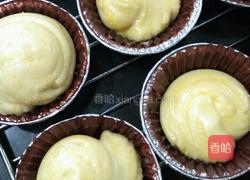 蔓越莓手撕小面包的做法图解8