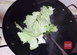 鱼露手撕包菜的做法图解3